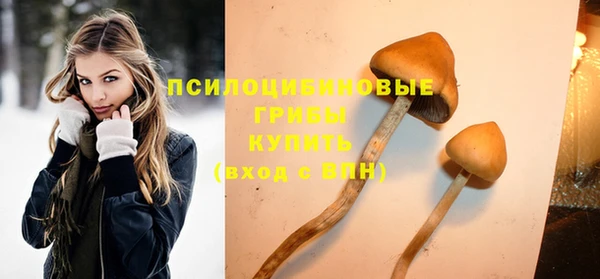 спиды Алексеевка