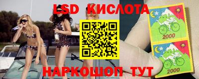 винт Кимры