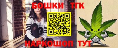 крисы Кингисепп