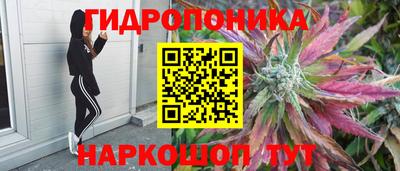 винт Кимры