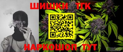 крисы Кингисепп