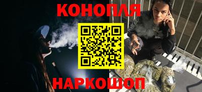 стаф Шелехов