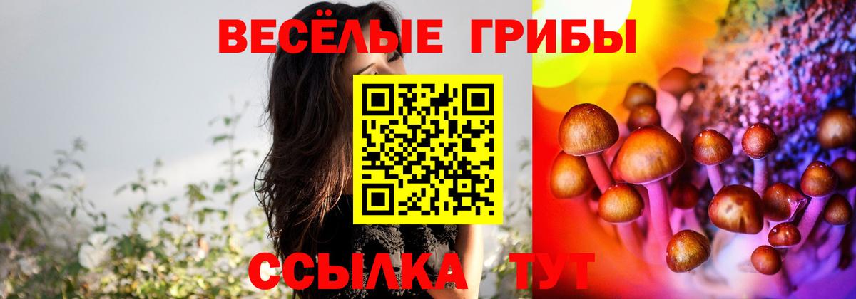 Галлюциногенные грибы GOLDEN TEACHER  Вход с VPN  Топки  Псилоцибиновые грибы MAGIC MUSHROOMS 